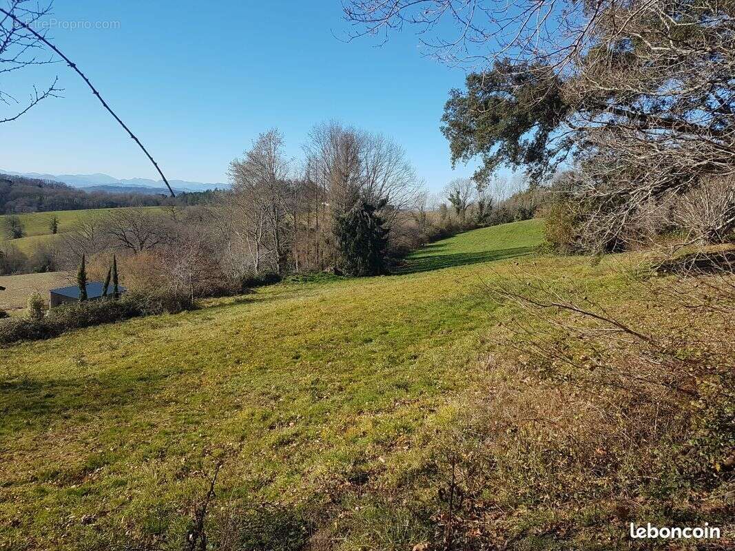 Photo-2025/052739-1-3 - Terrain à BURGARONNE