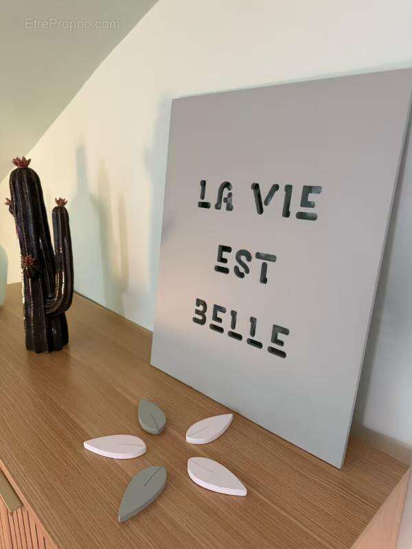 Maison centre ville Limoux à usage de gîte tout équipé - photo 12
