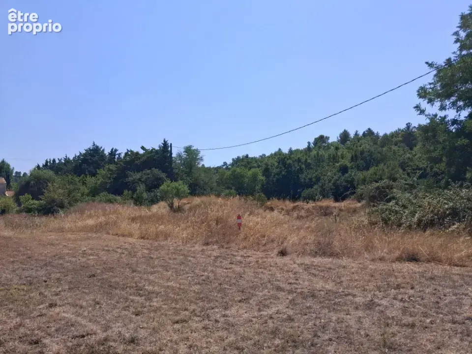 Terrain à RIANS