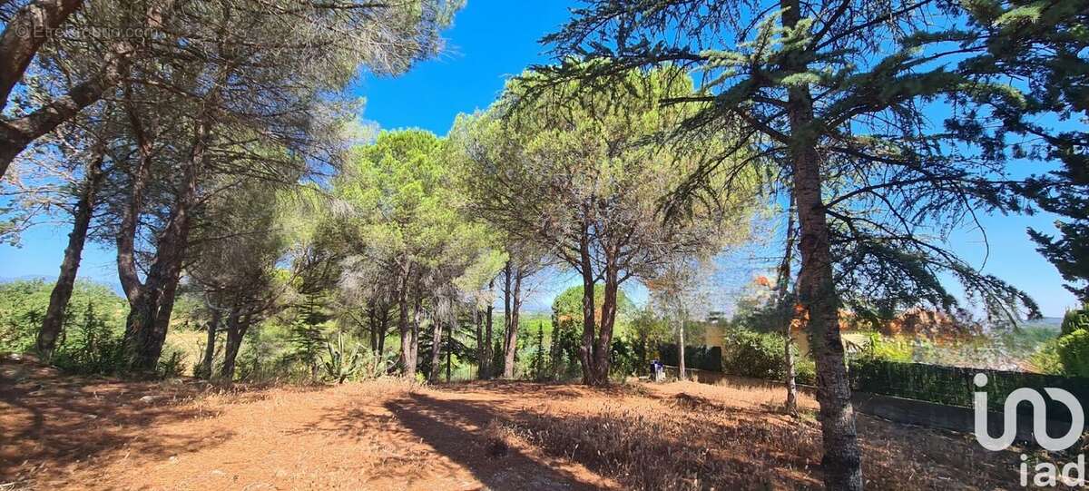 Photo 2 - Terrain à MONTESQUIEU-DES-ALBERES