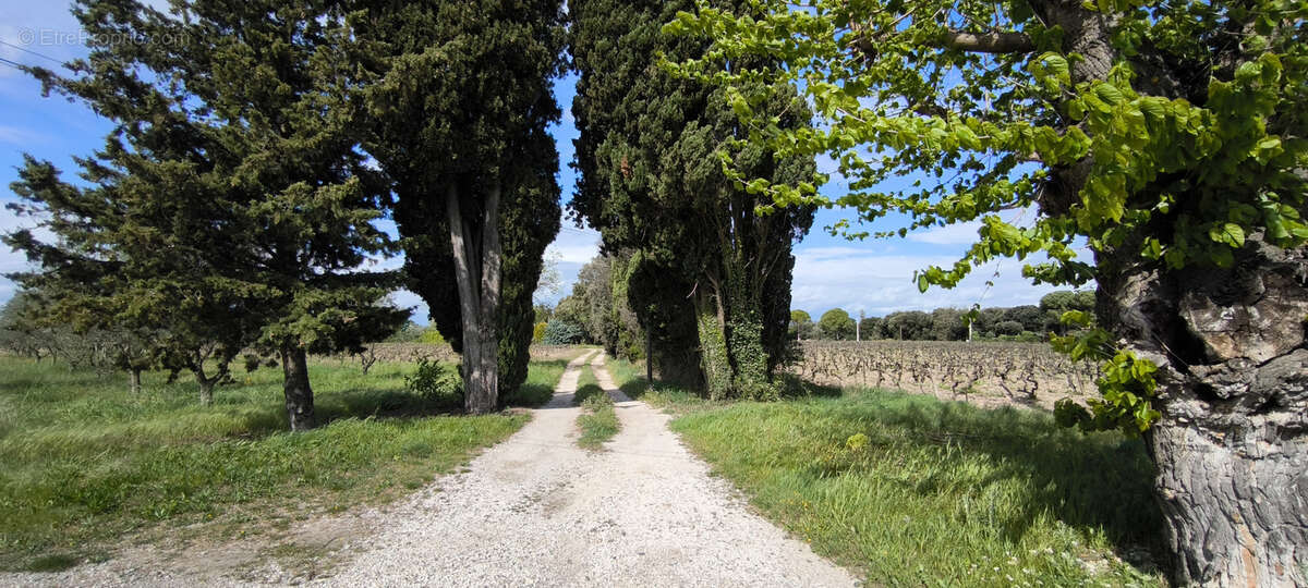Maison à VISAN