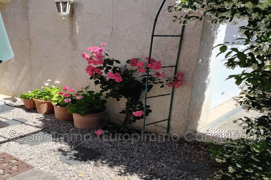 Maison à ROQUEBRUNE-SUR-ARGENS