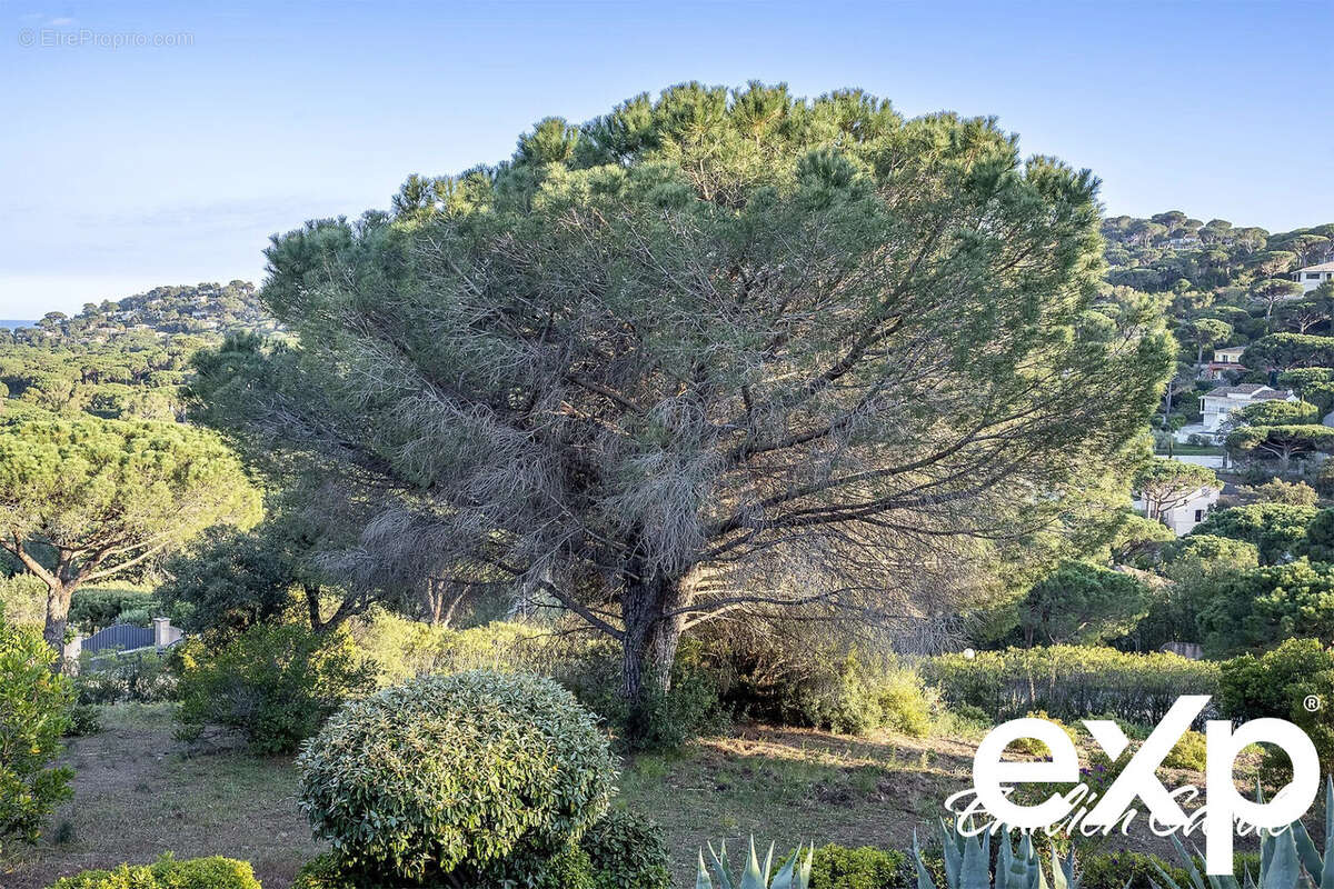Terrain à SAINTE-MAXIME