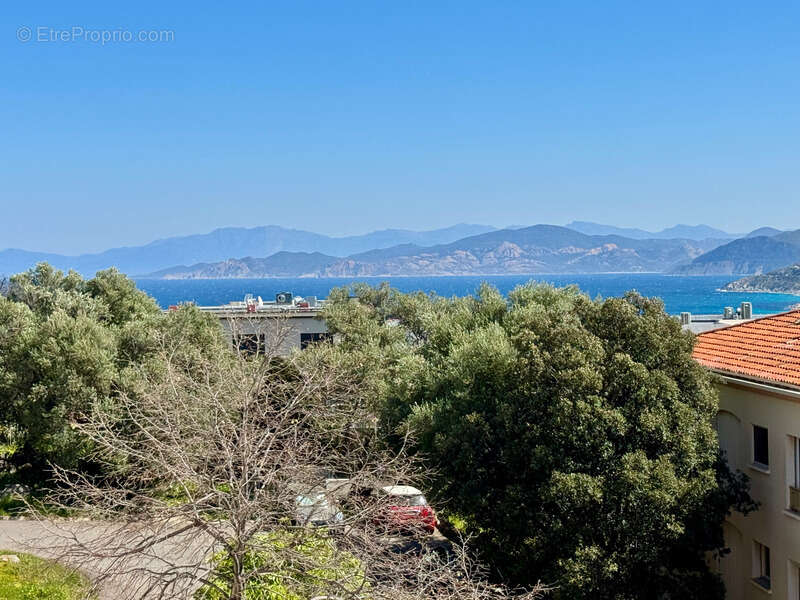 Appartement à L'ILE-ROUSSE
