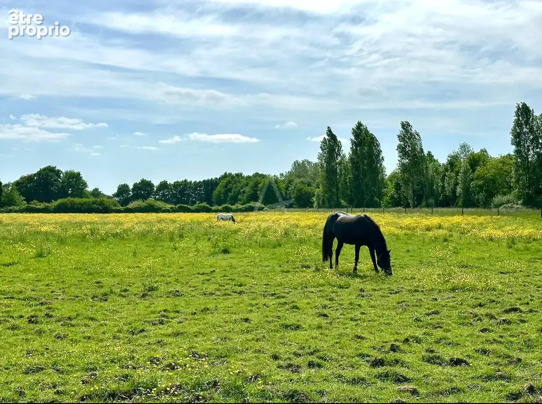 Haras d'Entraînement de Courses sur 28 Hectares   Cadre Exceptionnel - photo 33