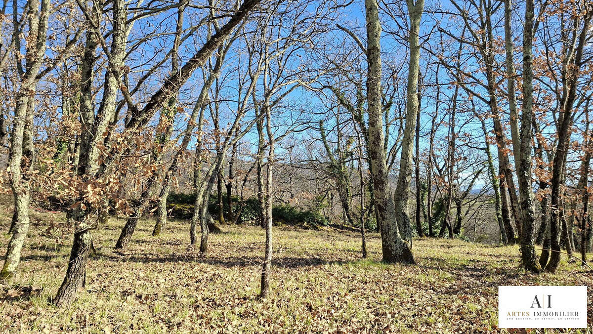 Terrain à COUX