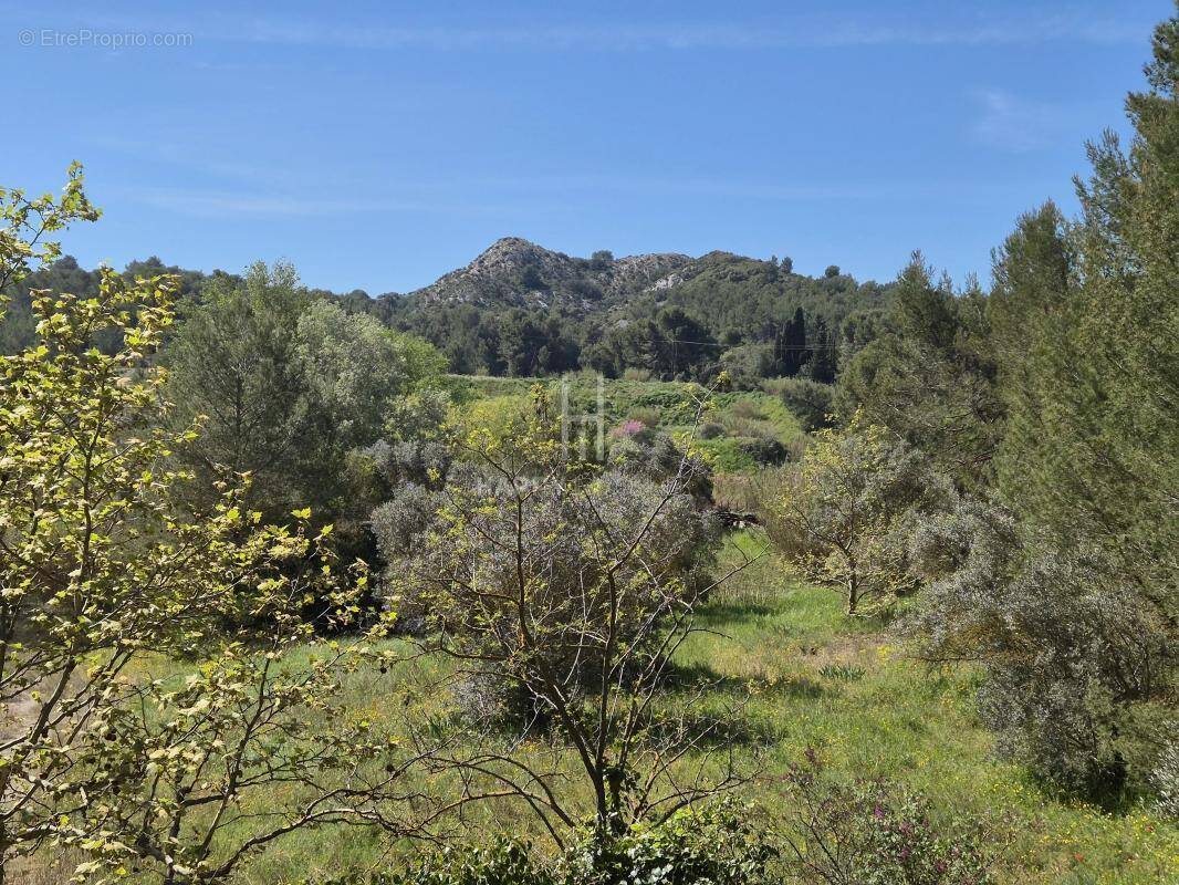 Maison à SAINT-REMY-DE-PROVENCE