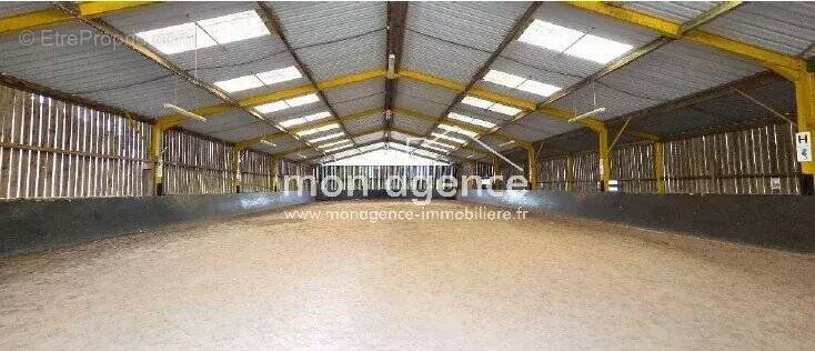 Commerce à FRANQUEVILLE-SAINT-PIERRE