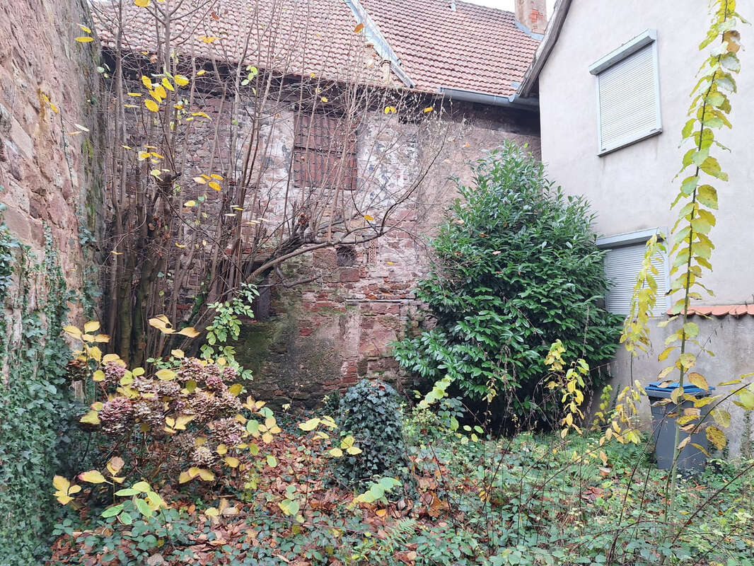 Maison à WISSEMBOURG
