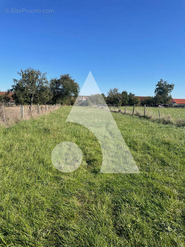 Terrain à AVRANVILLE