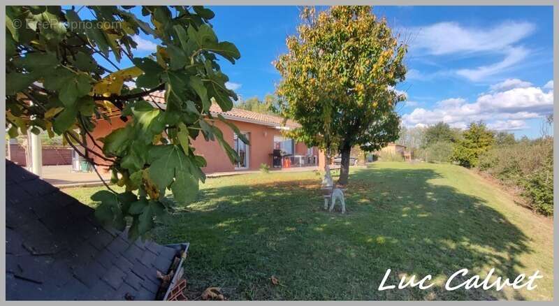 Maison à MONCLAR-DE-QUERCY