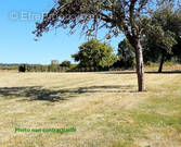 Terrain à SAINT-HELLIER
