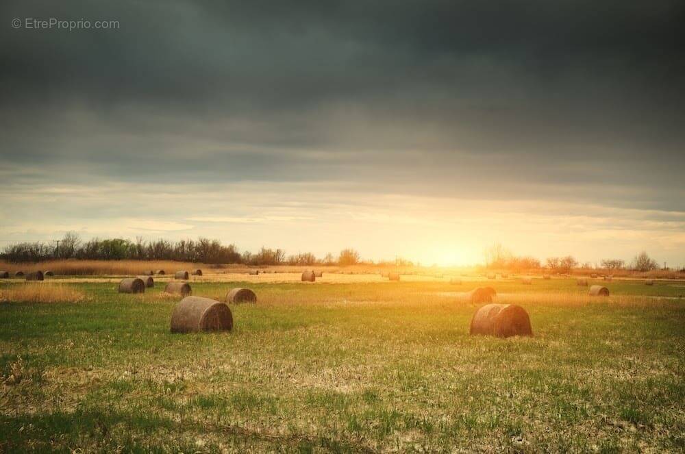 Terrain à REIGNAC-SUR-INDRE