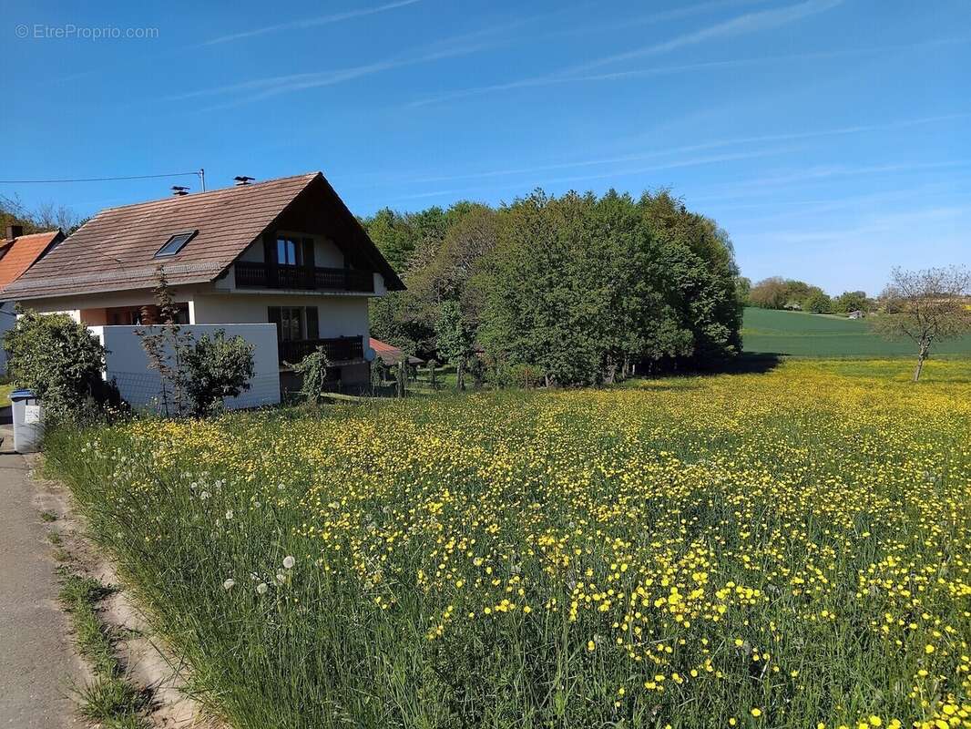 Maison à BETSCHDORF