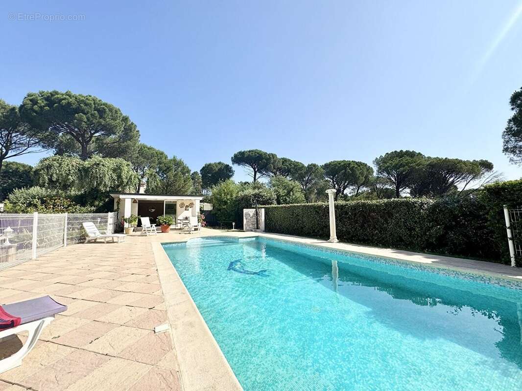 Villa 10 pièces Vidauban - photo 2