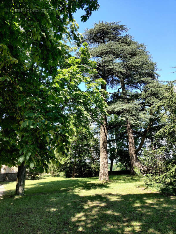Appartement à CHAVANNES