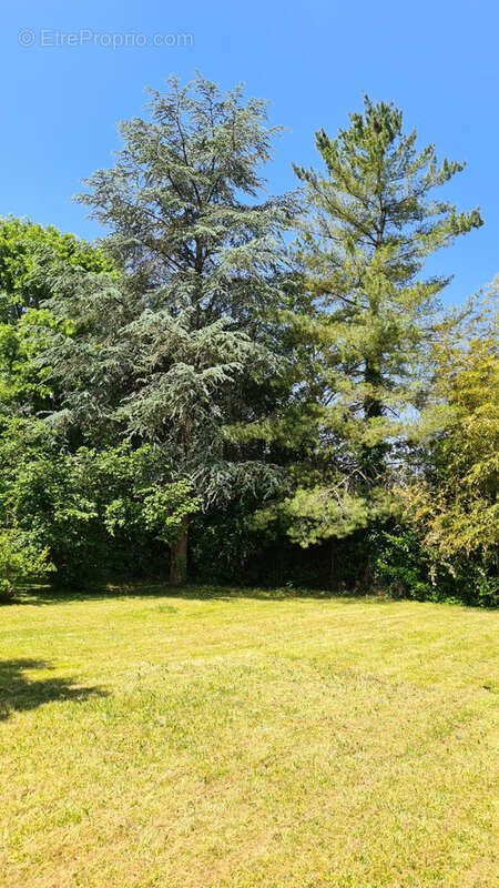 Maison à SAINT-MARY