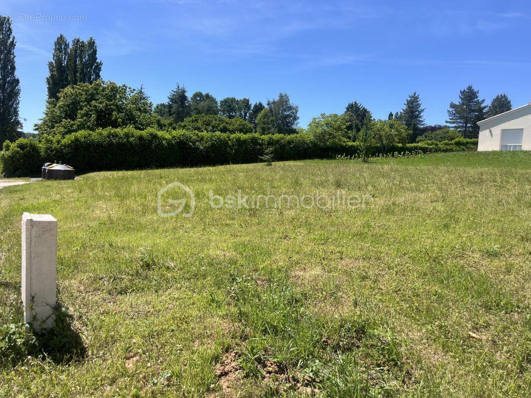 Terrain à LA DOUZE