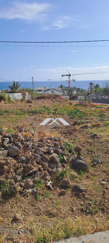 Terrain à LES TROIS-BASSINS