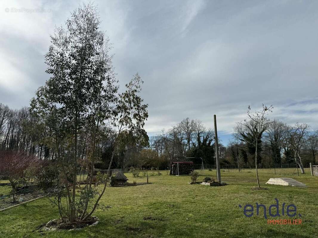 Maison à THIEL-SUR-ACOLIN