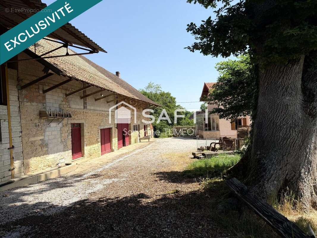 Photo 4 - Maison à BIEFMORIN