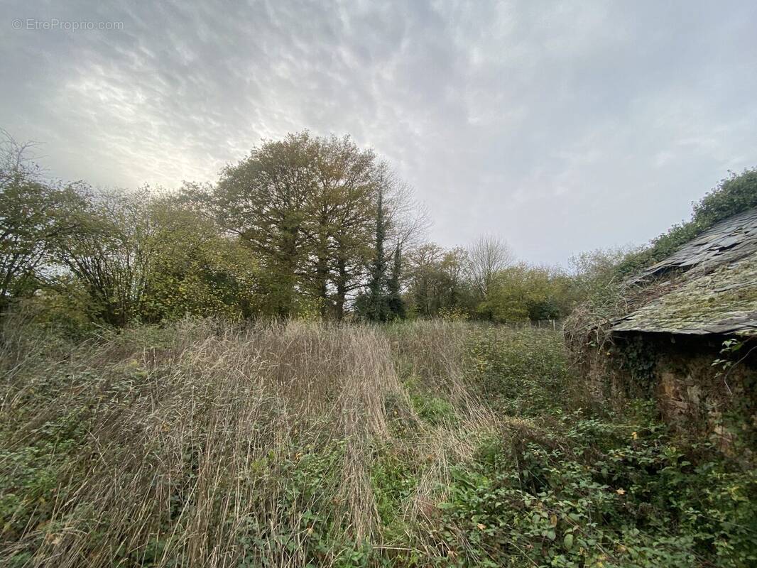 Terrain à LA CHAPELLE-BOUEXIC