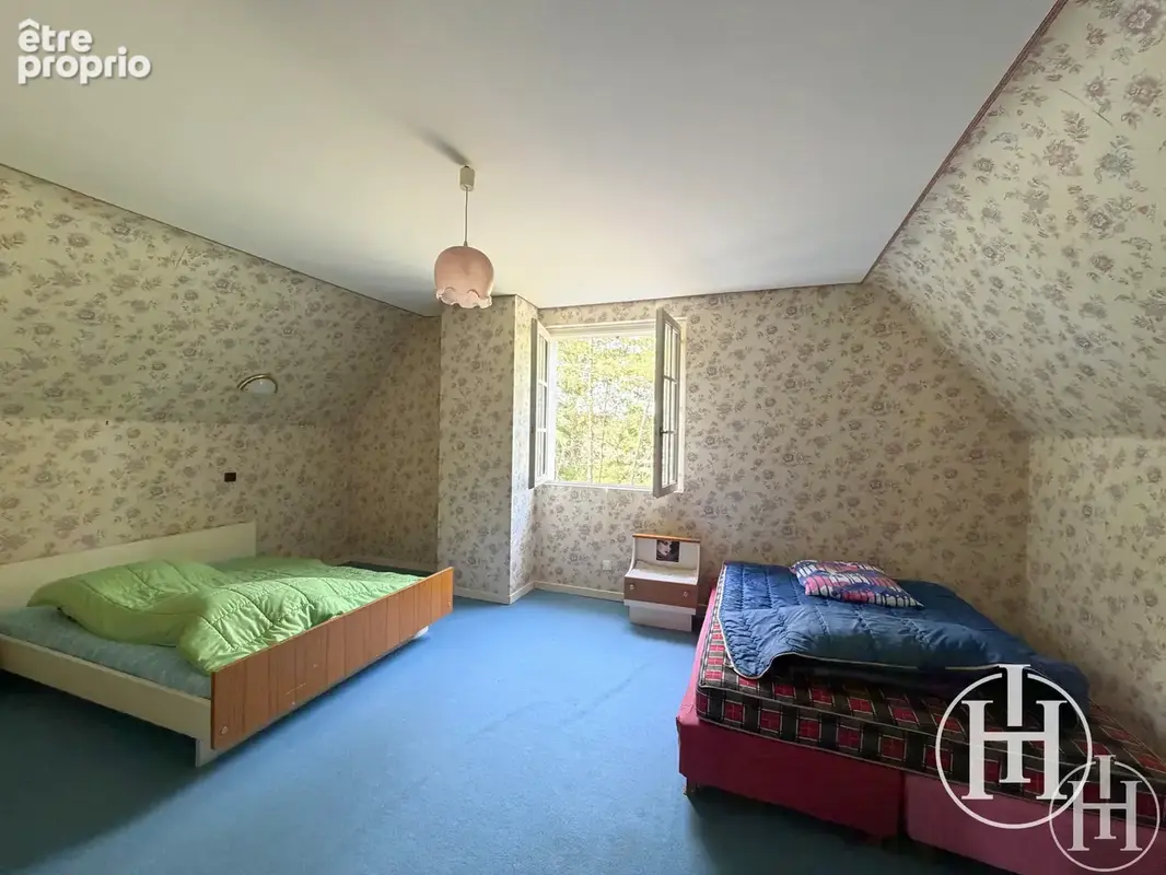 À saisir : deux pas de la forêt de tronçais   maison familiale avec sous-sol sur plus de 3 000 m2 de terrain ! - photo 10