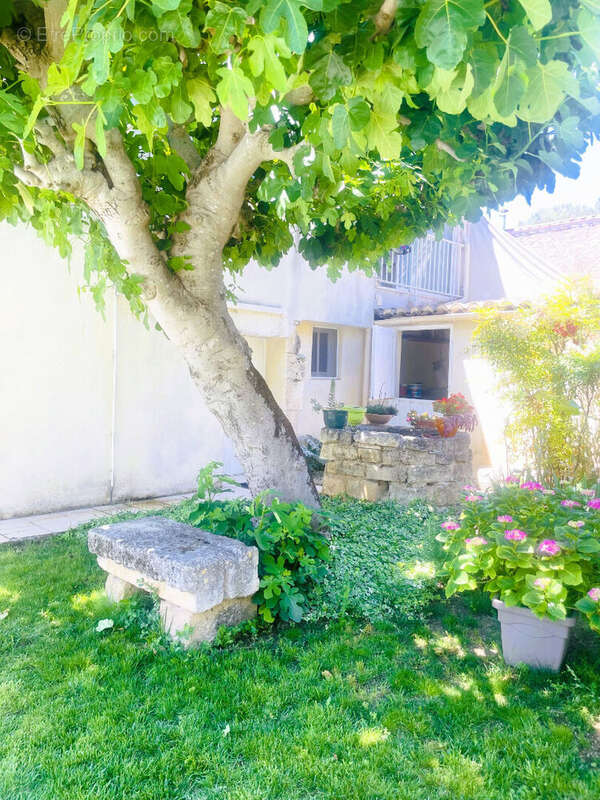 Maison à VALERGUES