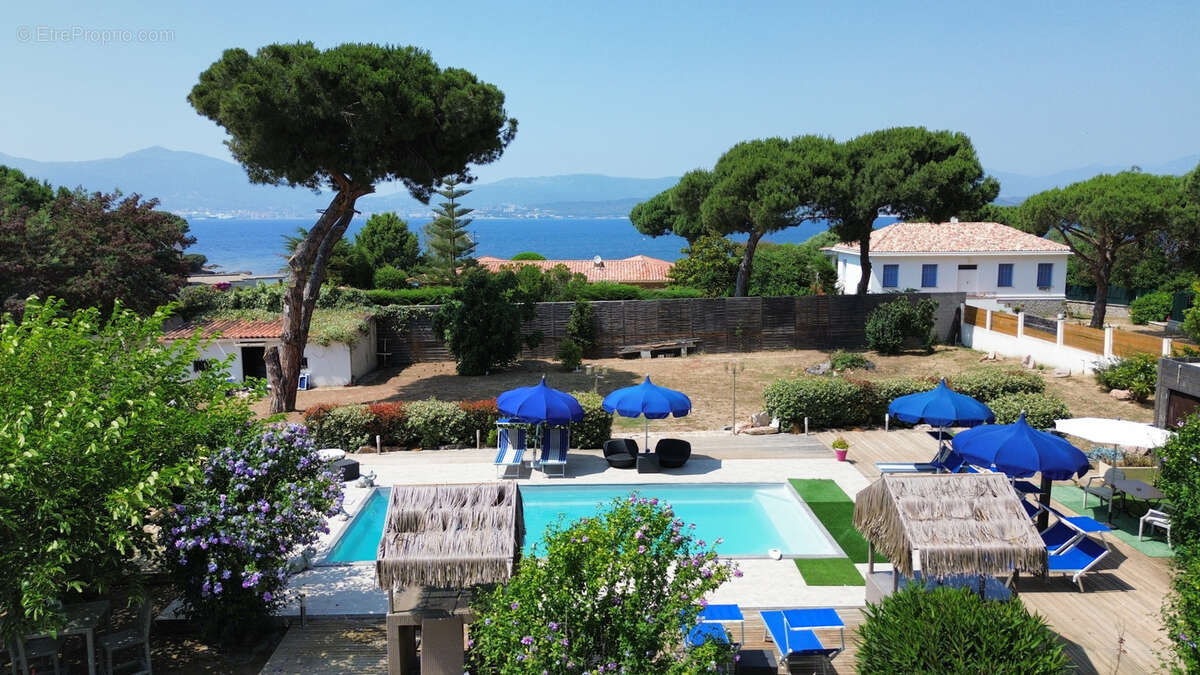 Maison à PIETROSELLA