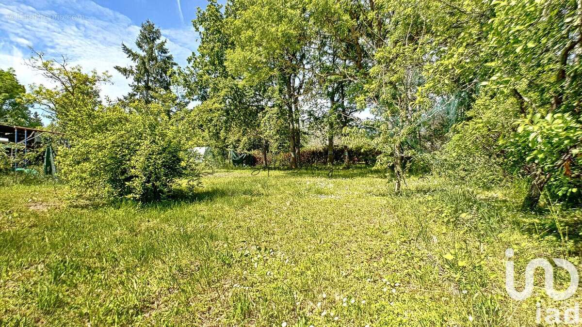 Photo 4 - Terrain à MONTIGNY-LENCOUP