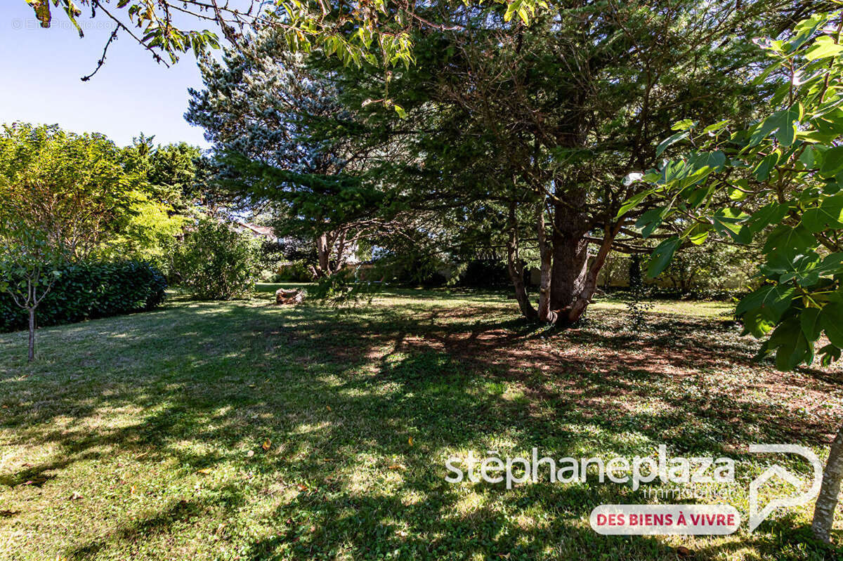 Terrain à SAINT-MAURICE-DE-GOURDANS