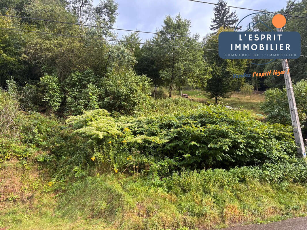 Terrain à GOETZENBRUCK