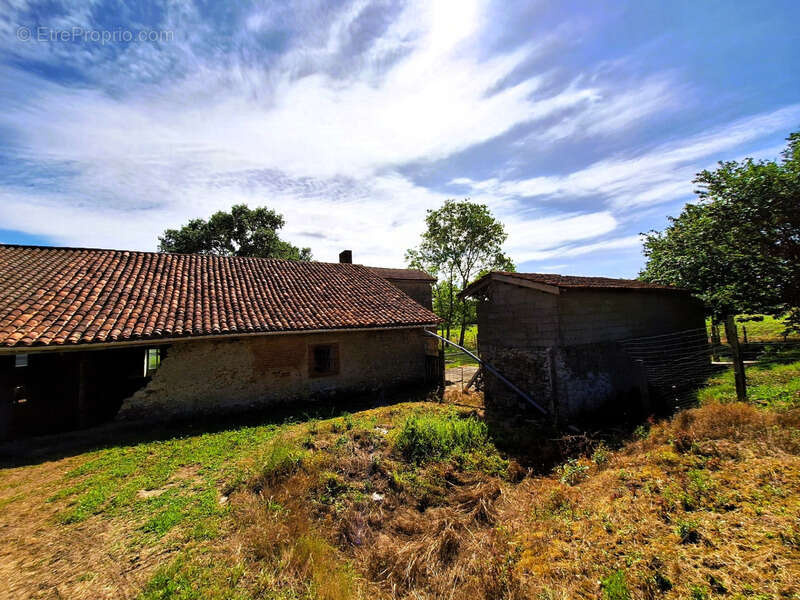 Corps de ferme à aménager avec dépendances et plus de 7 000 m² de terrain  Plaisance-du-Gers - photo 26