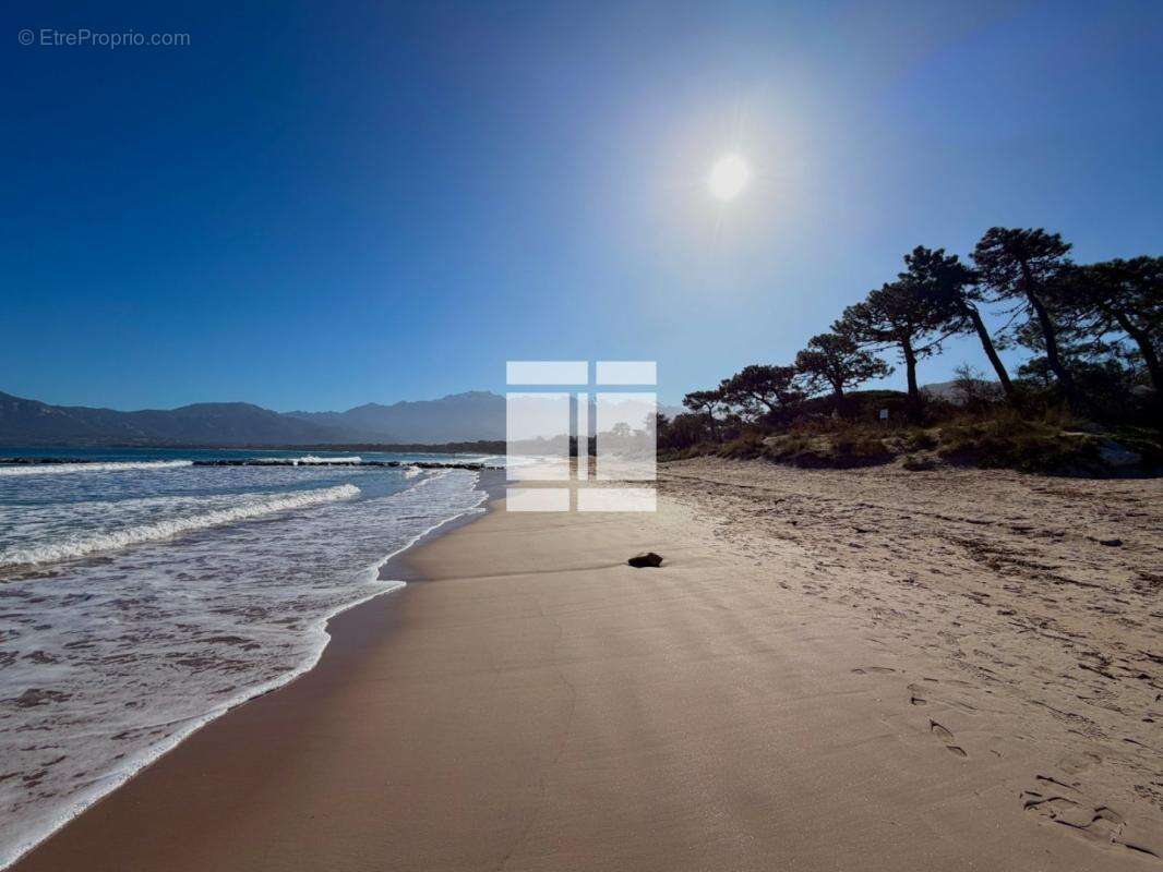 Appartement à CALVI