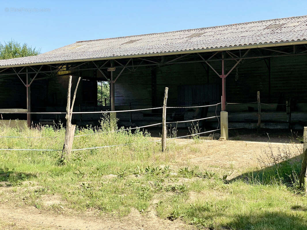 Maison à MARCIAC