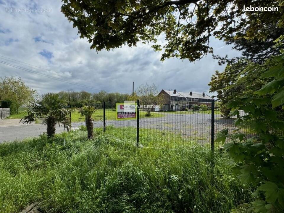 Terrain à LAMBRES-LEZ-DOUAI