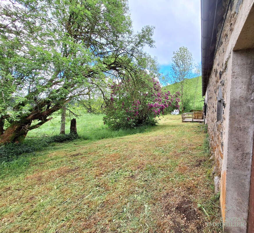 Maison à SAINT-DONAT