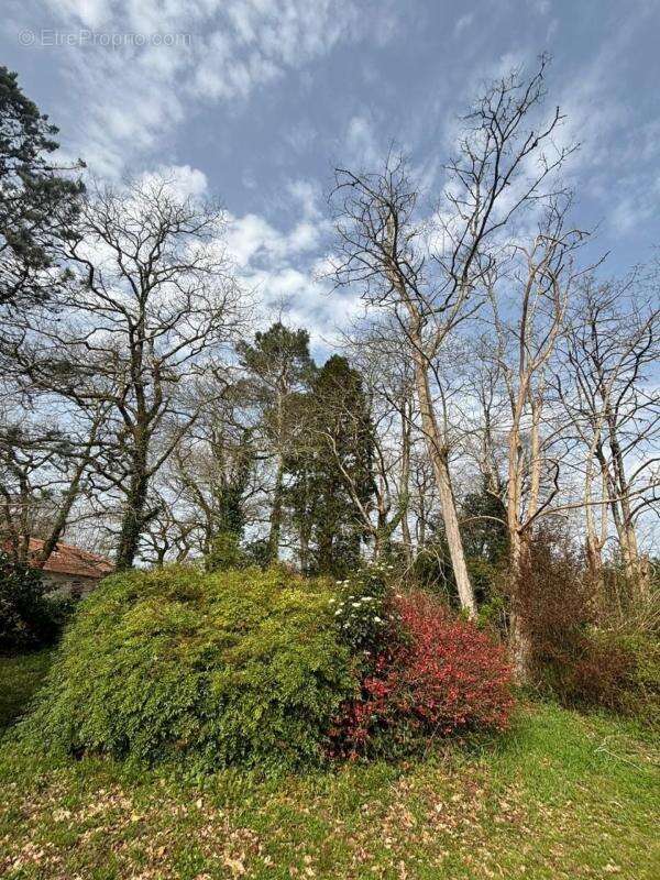 Maison à vendre 7 pièces TERCIS LES BAINS (40) - photo 21