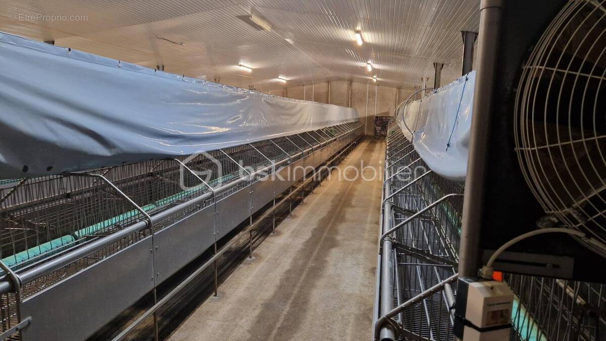 Appartement à MONLEZUN-D&#039;ARMAGNAC