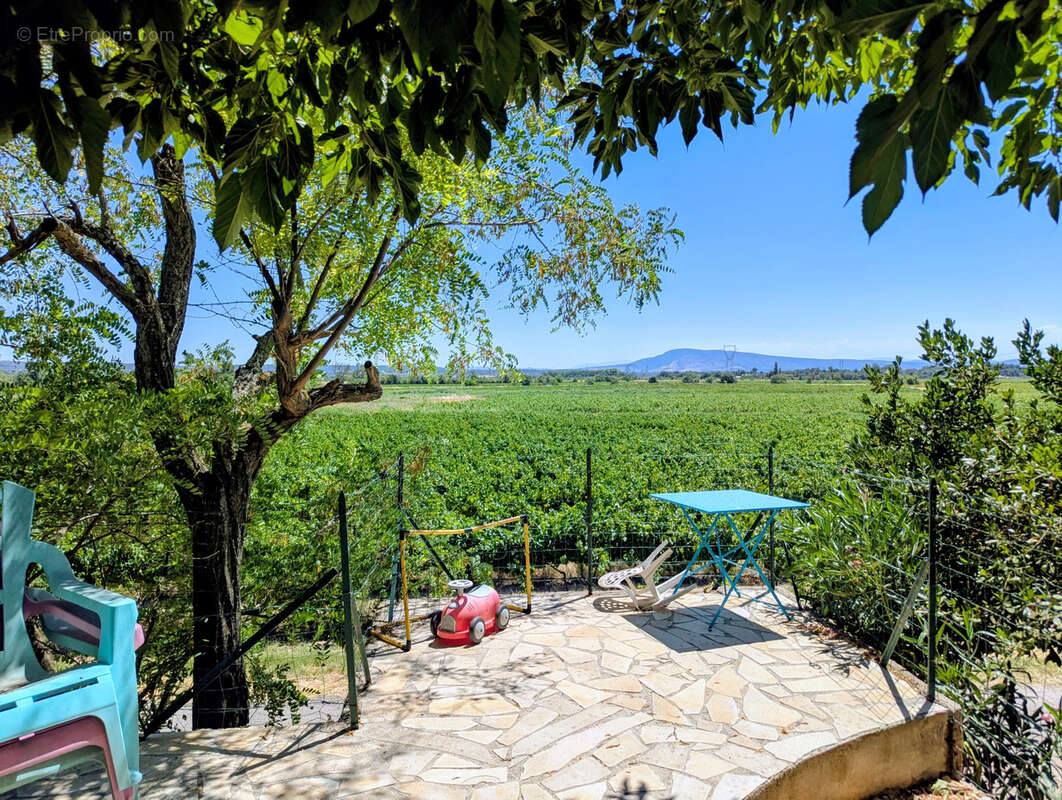 Maison de caractère avec piscine, vue vignes et logement indépendant - photo 3