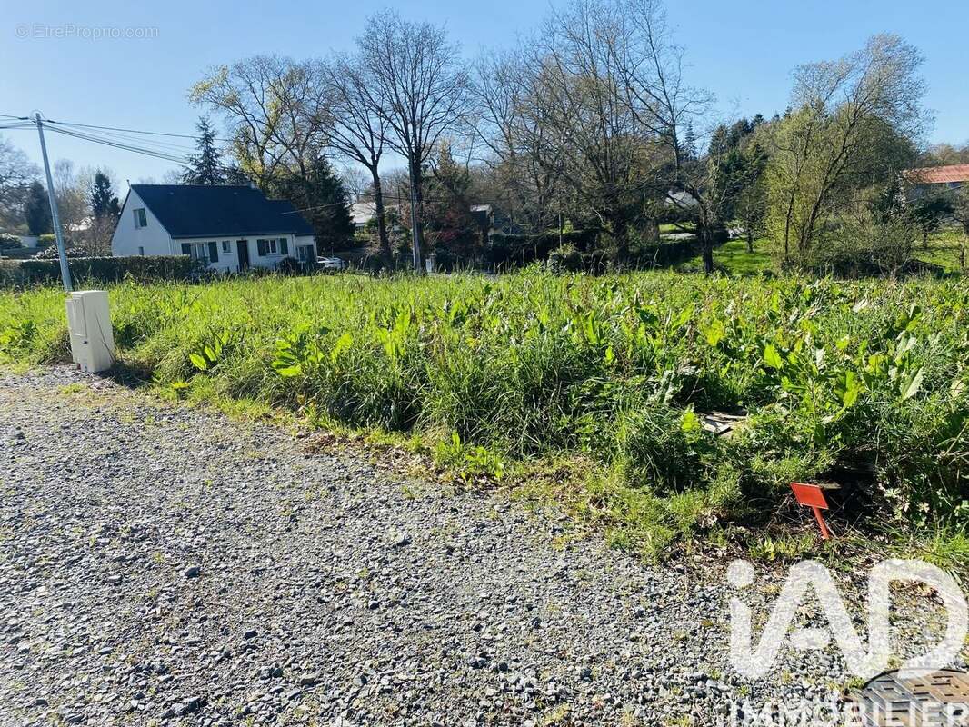 Photo 4 - Terrain à TREILLIERES