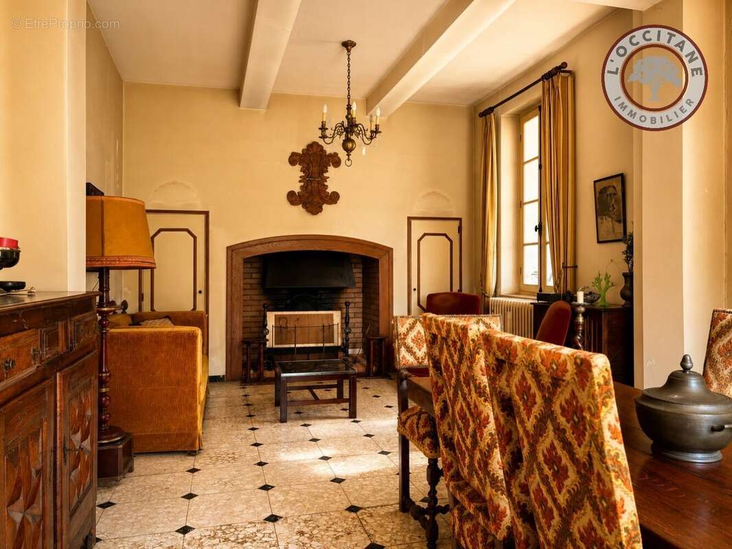 L'Isle-en-Dodon - Maison de maître à rénover avec vaste jardin et dépendances - photo 5