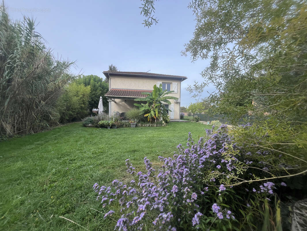 Maison à MARSSAC-SUR-TARN