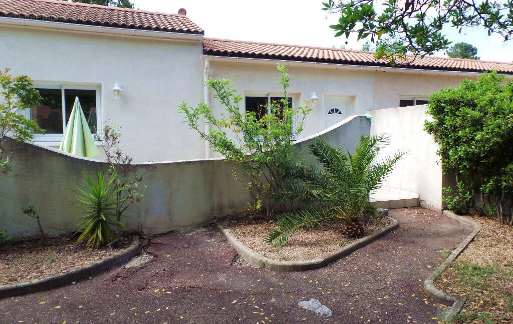 Appartement à SARI-SOLENZARA