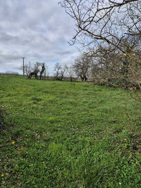 Terrain à LIGNIERES-SONNEVILLE