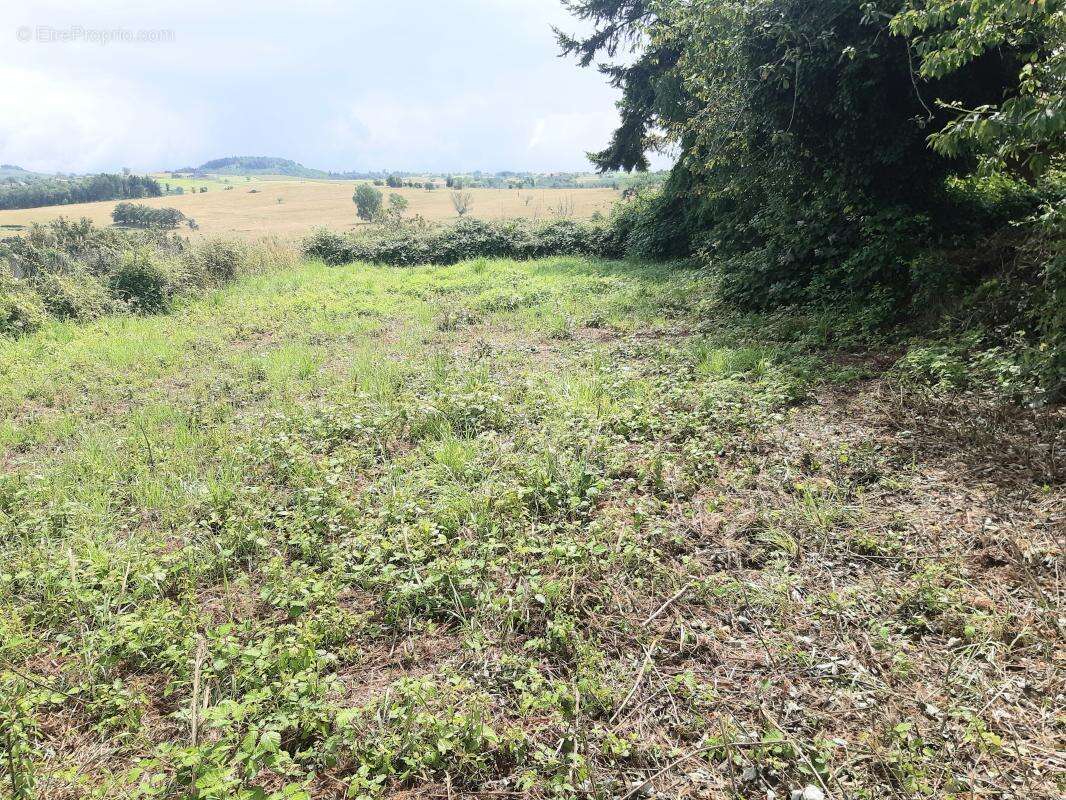 Terrain 1355 m² à Bongheat  - photo 3