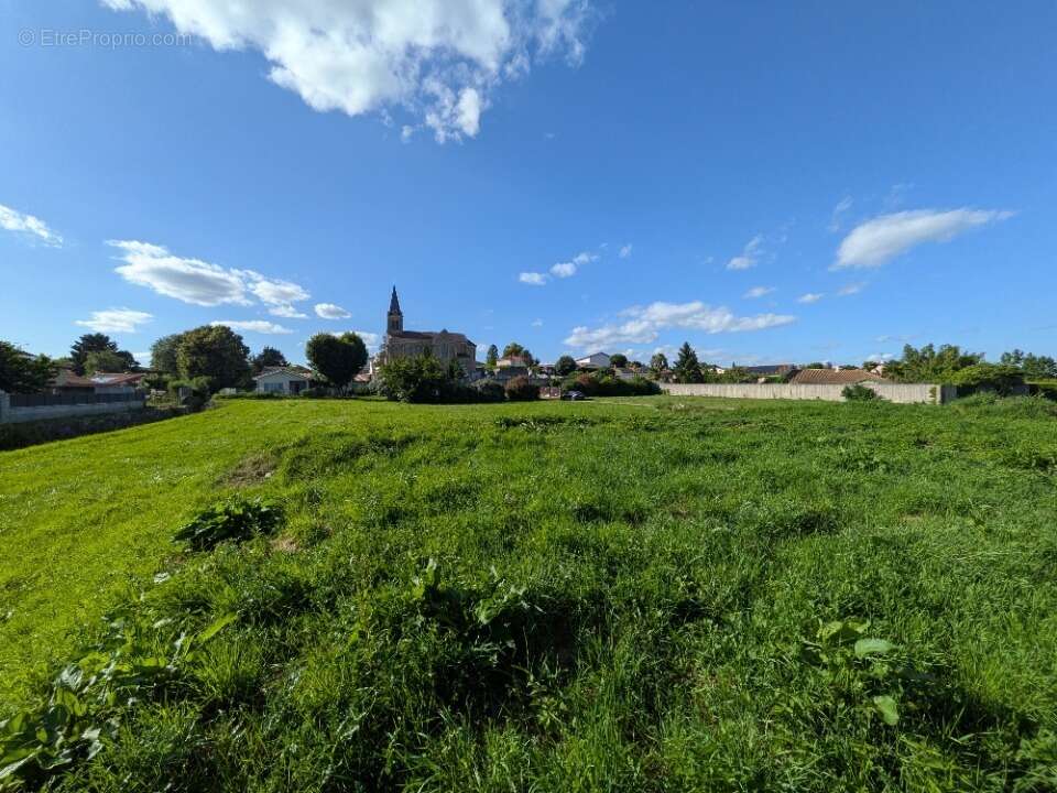 Terrain à MIONNAY