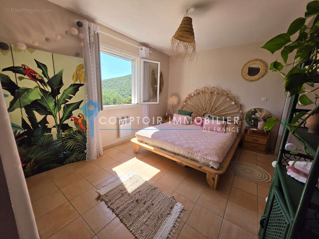 Dépt Hérault (34) - Olmet et Villecun - À vendre - Maison T4/T5 d'environ 120m2, parcelle de 2965m2, terrasse, - photo 14