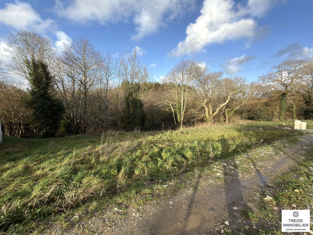 Terrain à SAVENAY