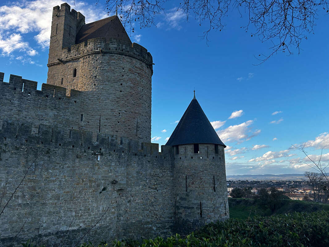 Commerce à CARCASSONNE